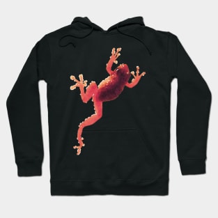 Red Frog Climbing Hoodie
